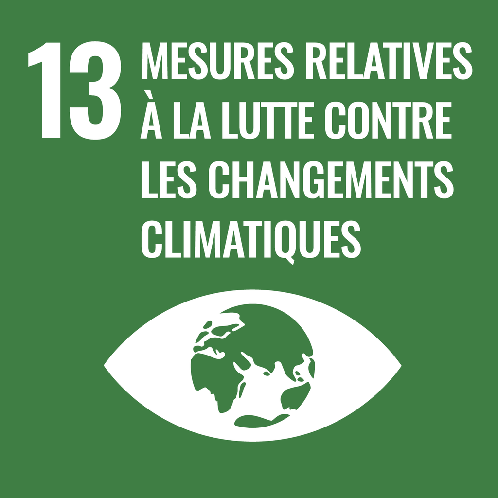 Les mesures contre le changement climatique (ODD n°13)