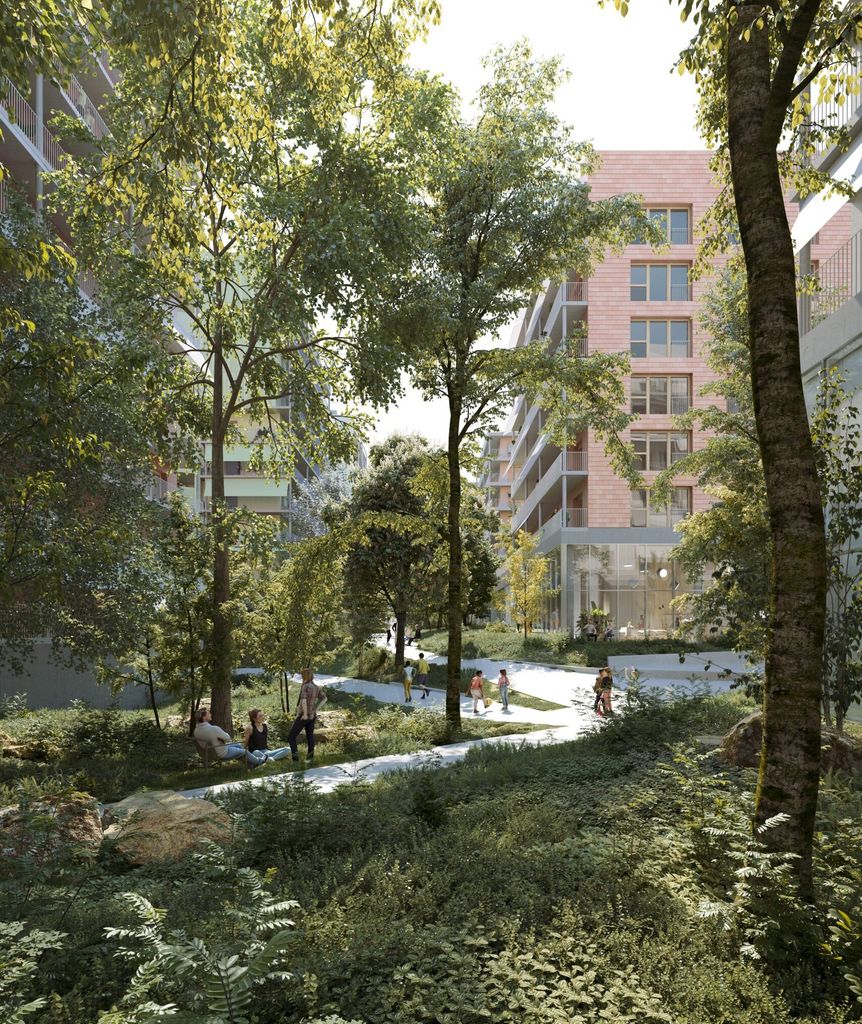 forêt fraîche
